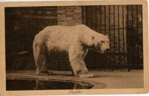 "Bundles", 2005-2014