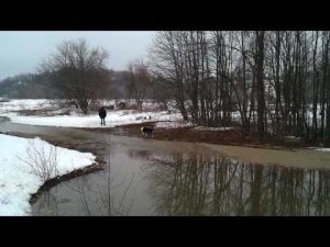 Typical muddy debris-choked tributary.  There's a guy and a dog on the banks.