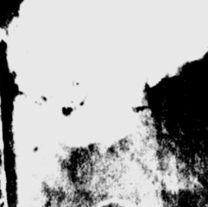 Grainy nighttime photograph shows the powerful effect of the "coyote getter".