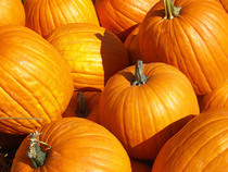 Not sure what to do with ALL THOSE PUMPKINS?  David Hadbawnik breaks it down for you.
