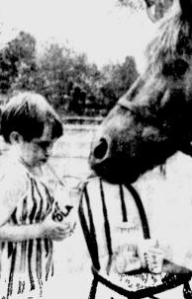 It was teatime for this baby and this horse!