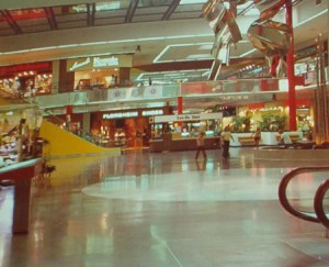 Twin Removed Pines Mall where my boyfriend and I got our shakes.