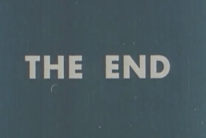 Artist's rendering of what Ms. Agrarian-Curtains saw on her kitchen wall.