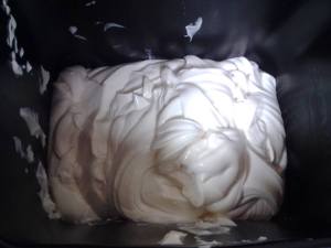 The mayonnaise that almost killed Suzy.