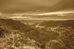 ​A picture of some of the beautiful yet deadly Hillside Country