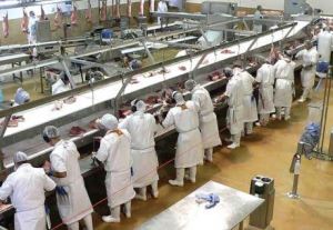 Plant workers dong their best to make every can special