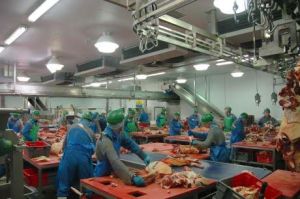 ​The 'Killing Floor'